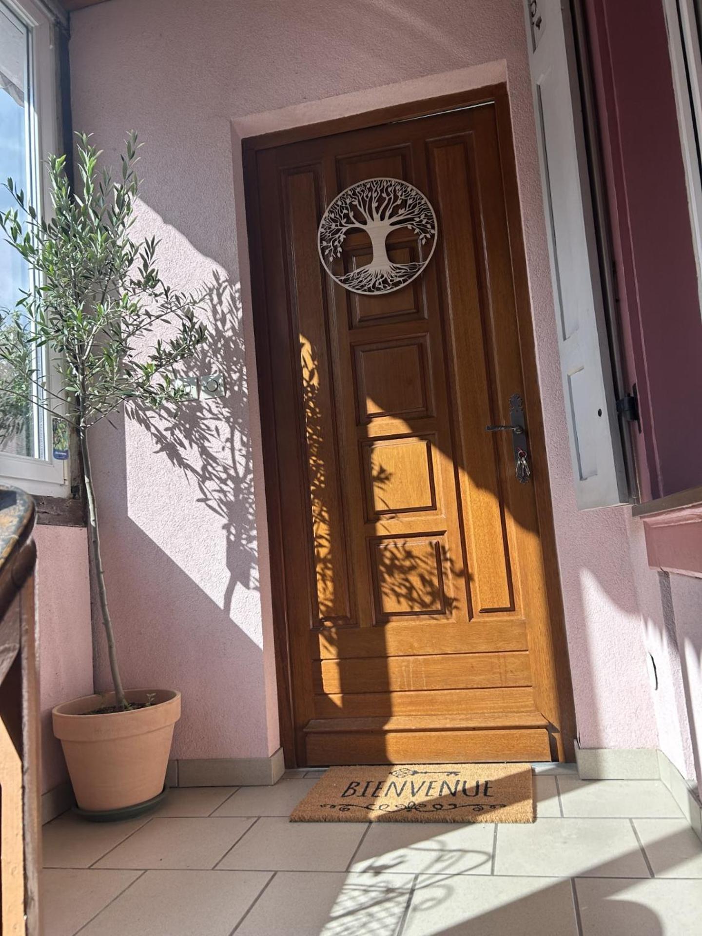 Le Petit Coin Des Oliviers Apartment Colmar Ngoại thất bức ảnh